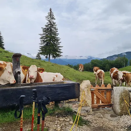 Chiemsee Mountain Appartamento Bernau am Chiemsee