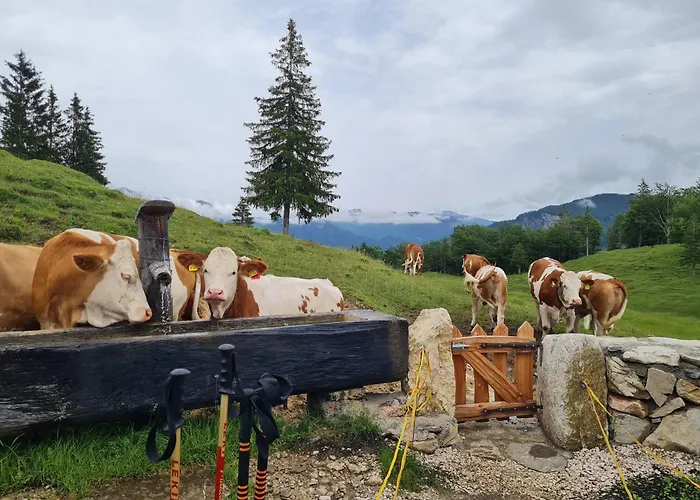 Chiemsee Mountain Appartamento Bernau am Chiemsee